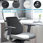 Aligna Lumbar Support Pillow for Office Chair